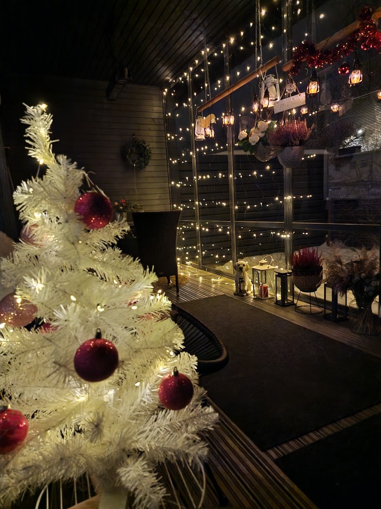 Tämän kuvan alt-attribuutti on tyhjä; Tiedoston nimi on 20221128_193123.jpg